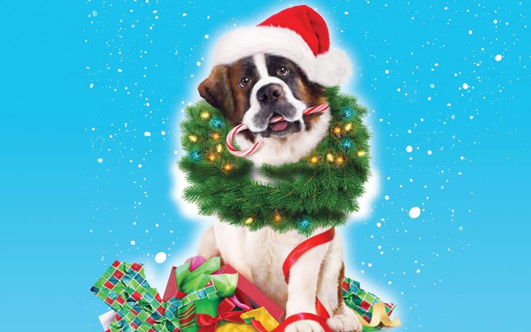 “A Cozy Animal Adventure: Heartwarming Tales with Beethoven’s Christmas Adventure and More!”